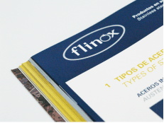 Flinsa