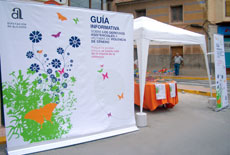 Carpa taller