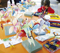 Carpa taller